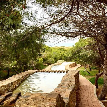 Appartement Sunny Sweet Olga